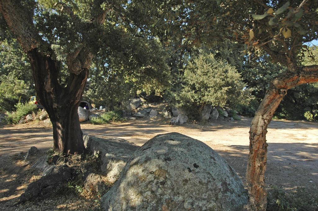 Camping Pezza Cardo Porto-Vecchio  Exterior photo